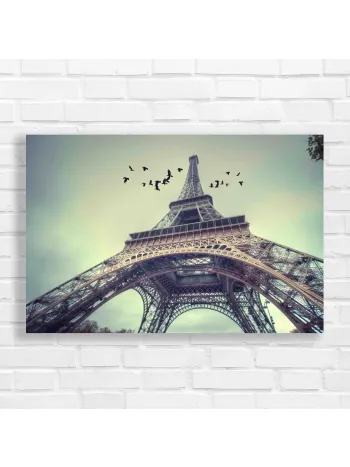 Eiffel Tower Birds Sky Canvas Print