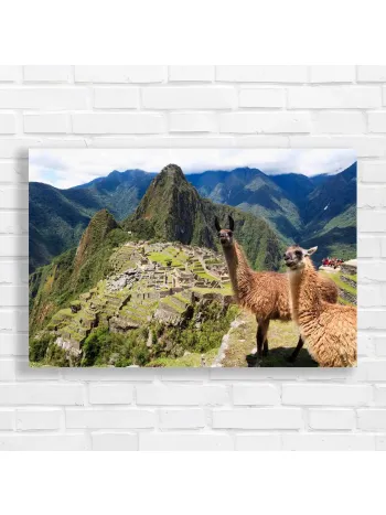 Machu Picchu Llamas Adventure Canvas Print